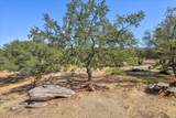 43972 Wells Rd - Photo 11
