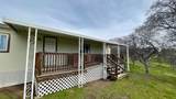 33379 Buttercup Lane - Photo 39