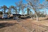 33379 Buttercup Lane - Photo 53