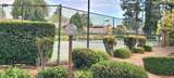 6300 Palm - Photo 19