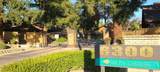 6300 Palm - Photo 20