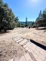 37969 Road 422 - Photo 33