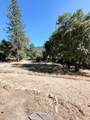 37969 Road 422 - Photo 34