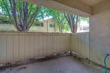 1542 Alluvial Avenue - Photo 23