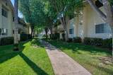 1542 Alluvial Avenue - Photo 24