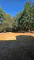 1248 Crane Lane - Photo 47