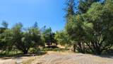 55062 Oak Crest Court - Photo 54