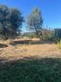 45990 Hawk Lane - Photo 8