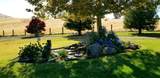 20351 Thermal Road - Photo 16