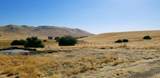 20351 Thermal Road - Photo 20