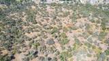 33298 Wahoo Ln - Photo 39