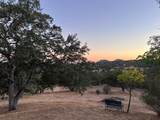 33298 Wahoo Ln - Photo 44