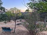 33298 Wahoo Ln - Photo 46