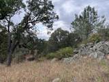33298 Wahoo Ln - Photo 47