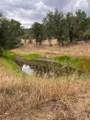 33298 Wahoo Ln - Photo 48
