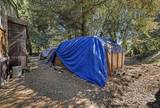 33086 Linson Road - Photo 45