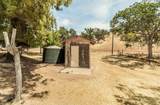 31915 Pennyroyal Lane - Photo 43