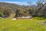 29751 Flying O Ranch Road - Photo 72
