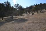 41346 Mineral Springs Road - Photo 65