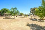 35580 John Albert Drive - Photo 31