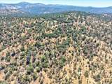 37876 Road 600 - Photo 36