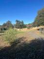 45990 Hawk Lane - Photo 9