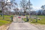 29751 Flying O Ranch Road - Photo 51