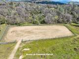 29751 Flying O Ranch Road - Photo 61