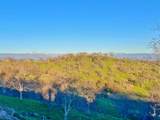 25420 Road 207 - Photo 31