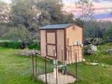 25420 Road 207 - Photo 48