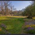 33831 Medford Road - Photo 11