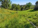 31749 Road 400 - Photo 36
