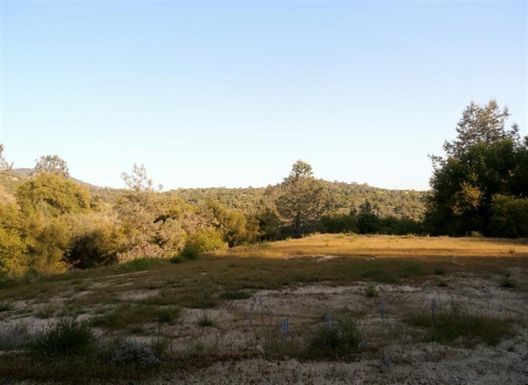 37-38 Lynx Lane - Photo 1