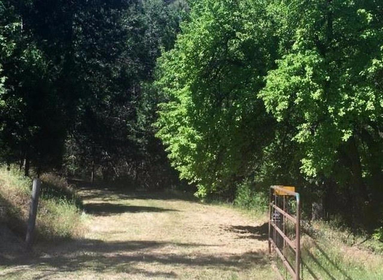 1840 Nutter Ranch Road - Photo 1