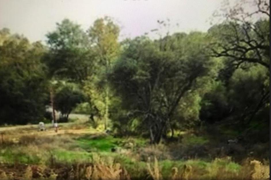 0 Ruth Hill- Waxberry Lane - Photo 1