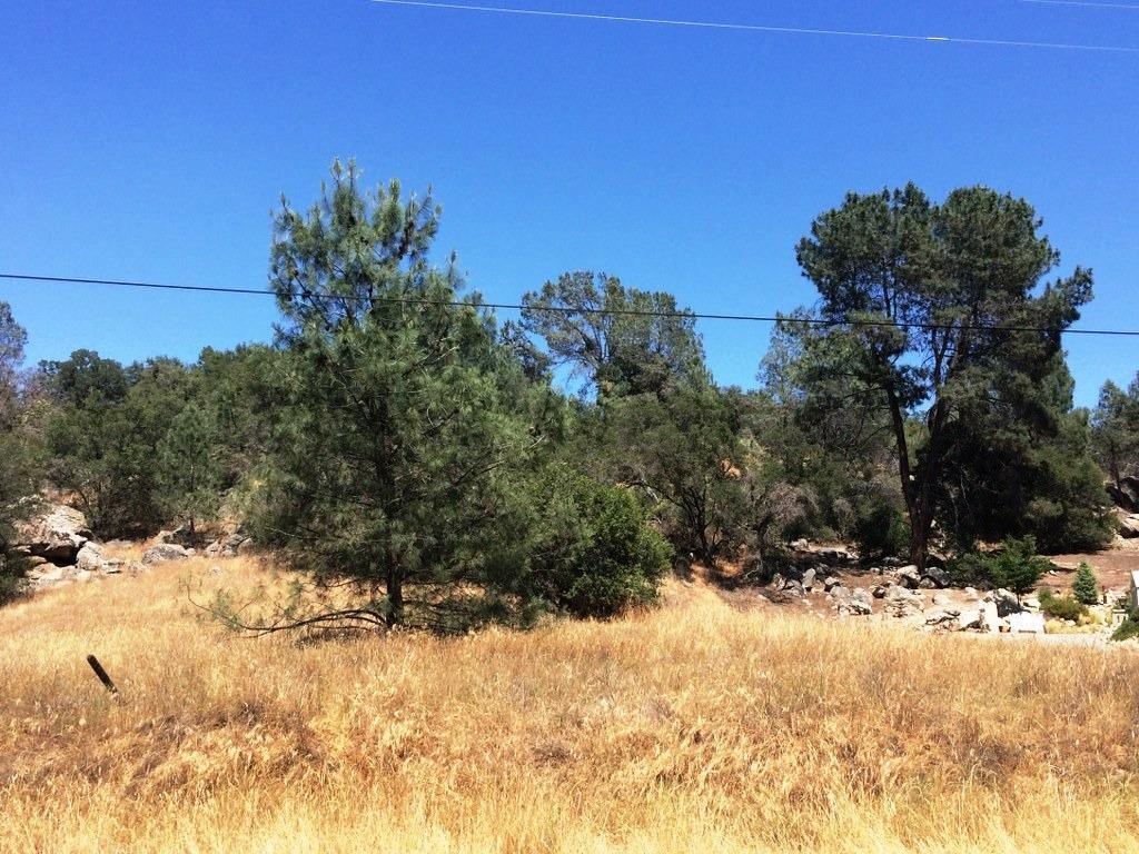 0-Lot 554 Yosemite Springs Parkway - Photo 1
