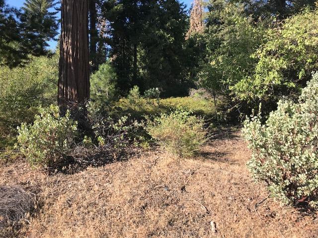 40834 Wild Iris Lane - Photo 1