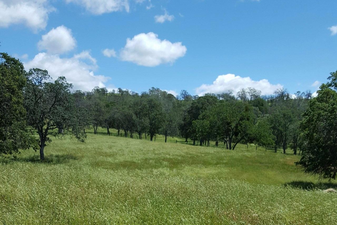 0-306 AC Road 600 - Photo 1