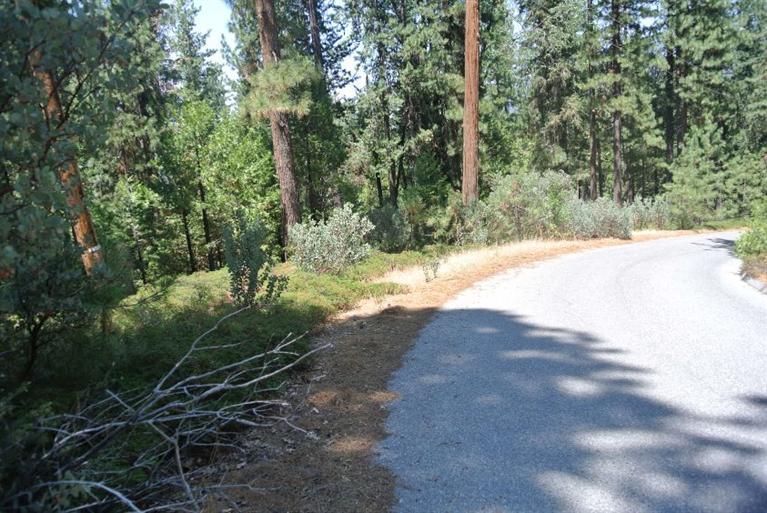0 Solitude Lane - Photo 1