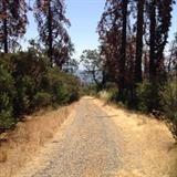 0 Rocky Springs Road - Photo 1