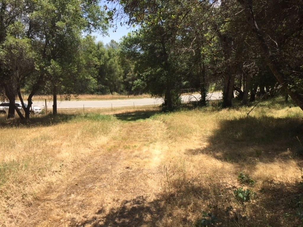 0-4.77 AC Quail Hollow Court - Photo 1