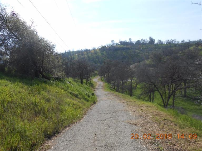 33881 George Smith Road - Photo 1