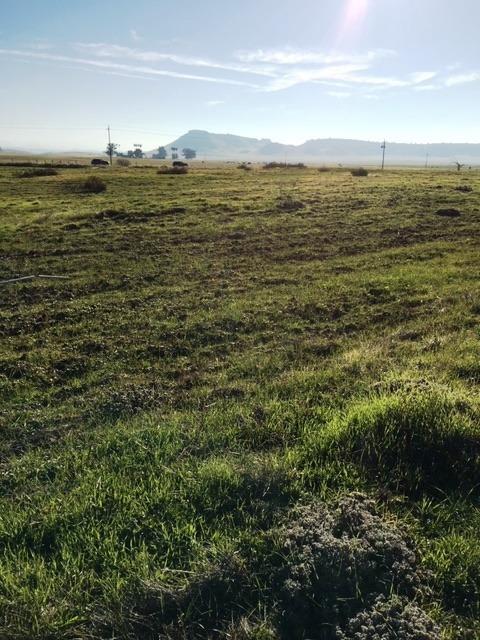 0 Highway 41 - Photo 1