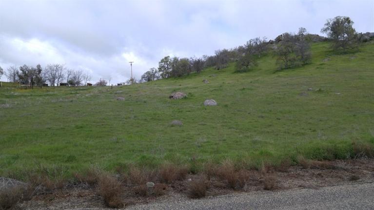 0 Lot 480 Cornflower Lane - Photo 1