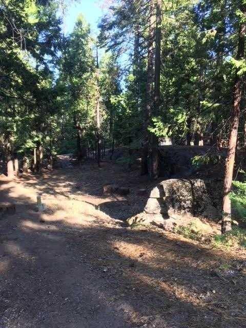 40757 Silvertip - Photo 1