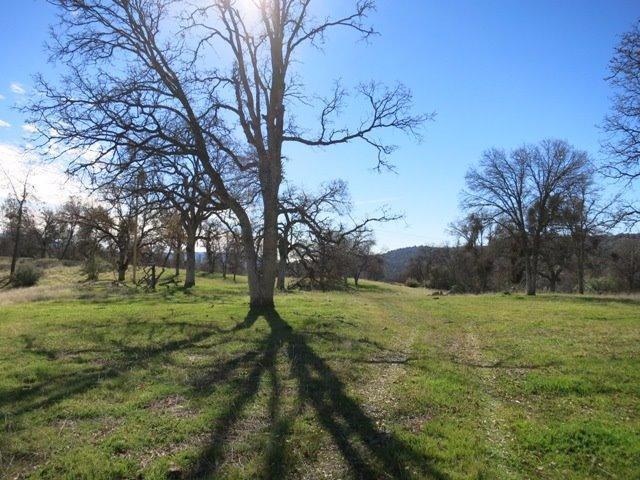 0 Fire Road - Photo 1