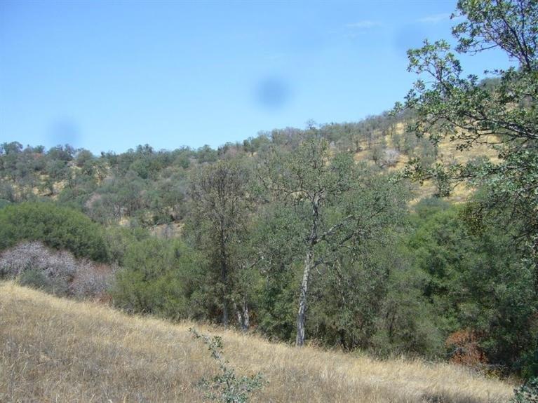 0 Creekside Road - Photo 1