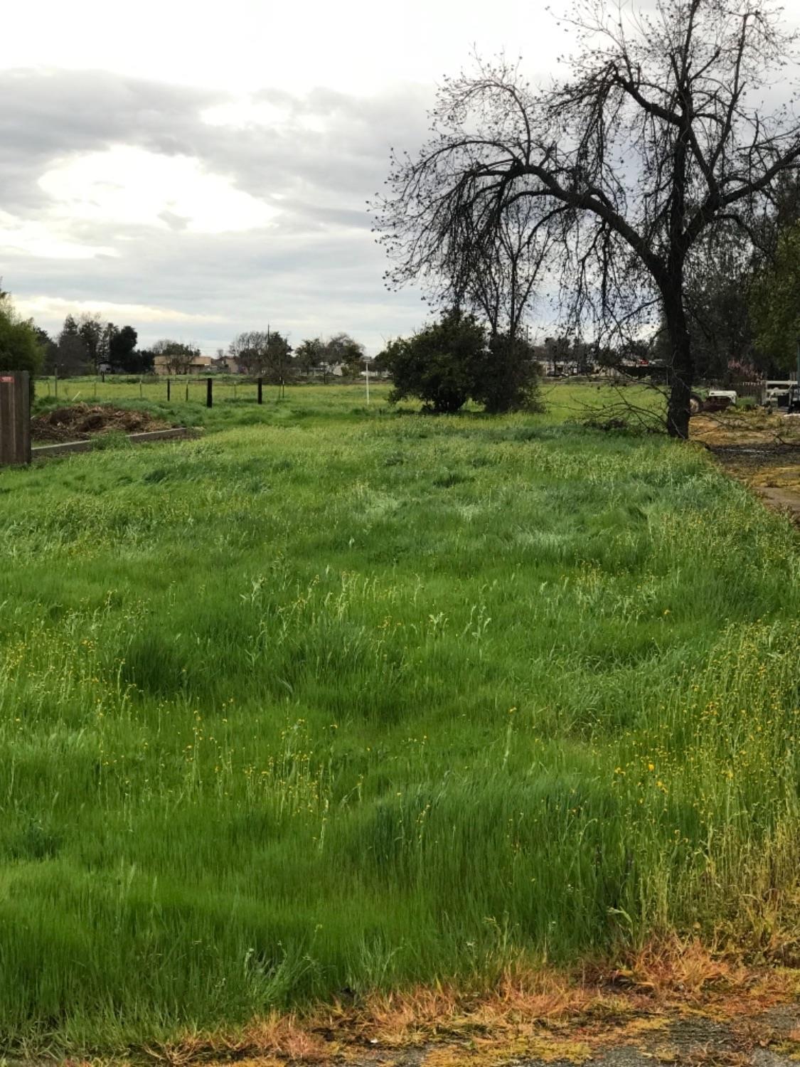 0 Alta Avenue - Photo 1