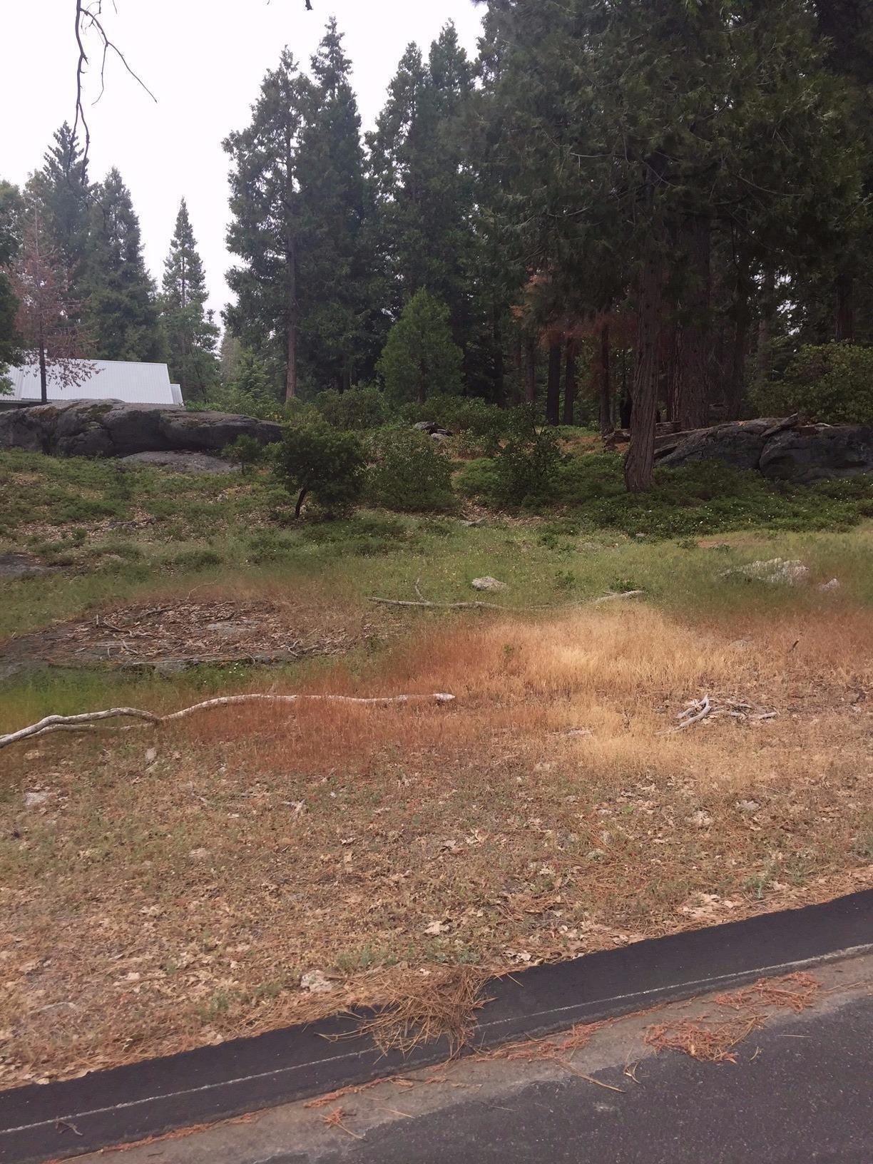 42435 Garnet Lane - Photo 1