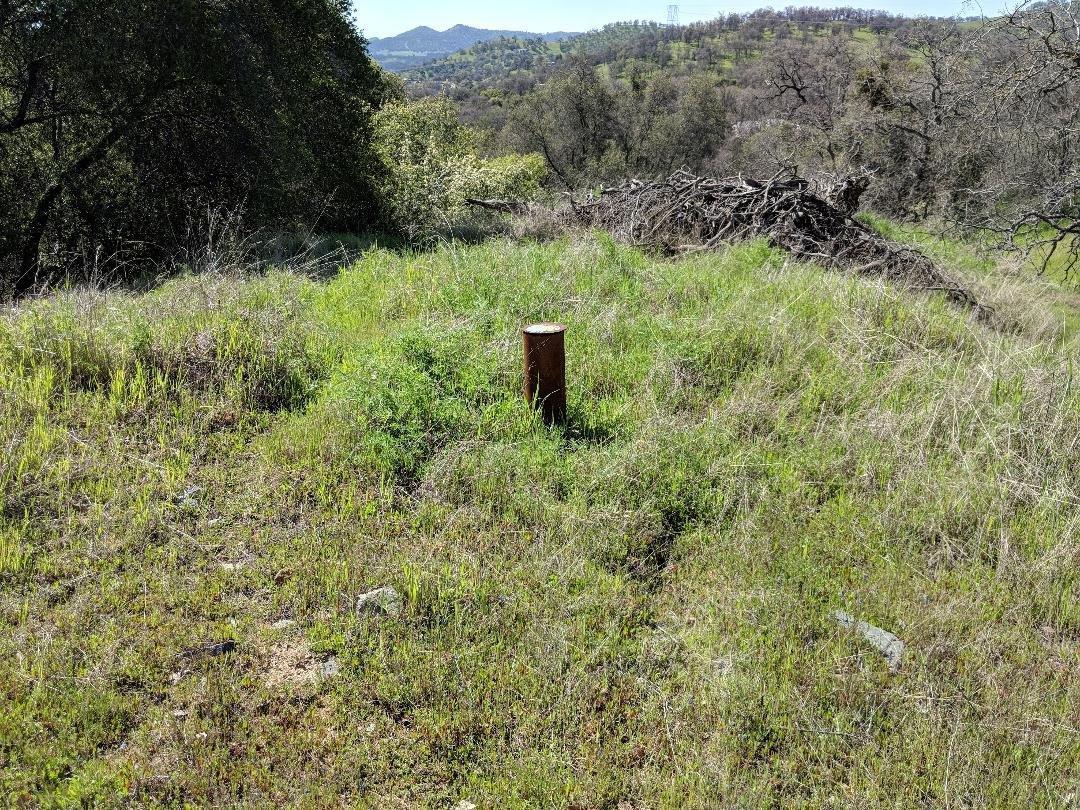 0 Lot 100 Ripple Lane - Photo 1